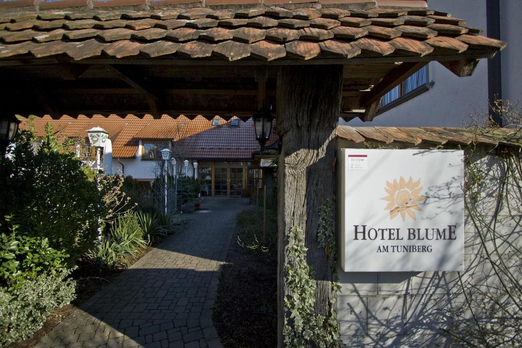 Hotel Blume Friburgo in Brisgovia Esterno foto